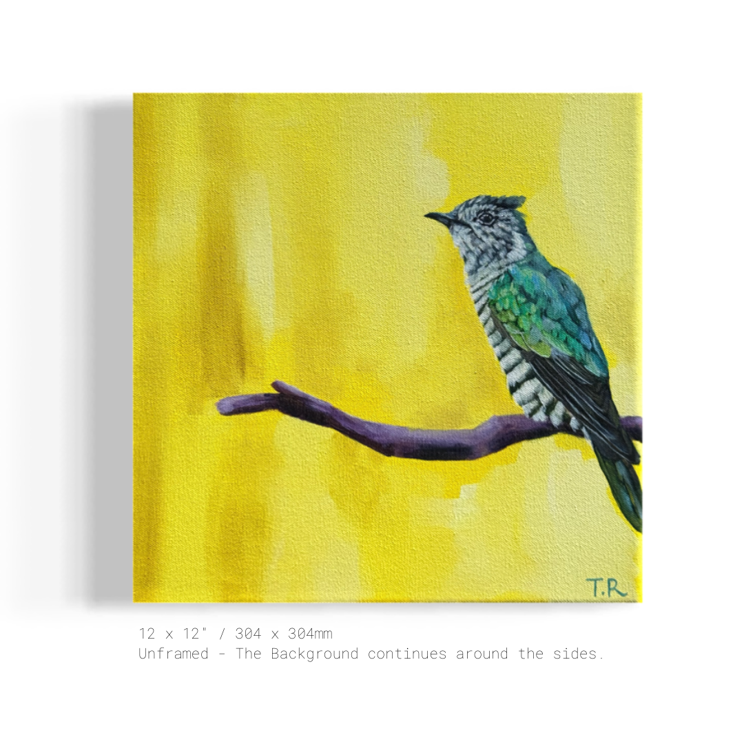 Shining Cuckoo - Original Oil Painting by New Zealand Artist Tara Rountree