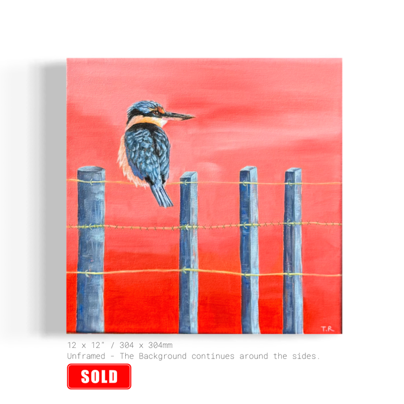 NZ Sacred Kingfisher - Original Oil Painting by New Zealand Artist Tara Rountree