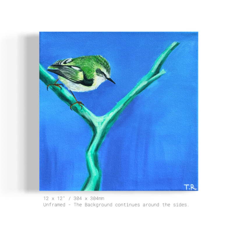 Rifleman - Original Oil Painting by New Zealand Artist Tara Rountree