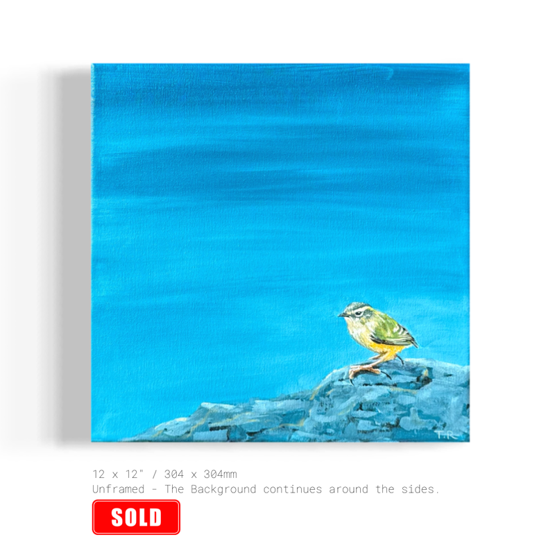 Rock Wren - Original Oil Painting by New Zealand Artist Tara Rountree