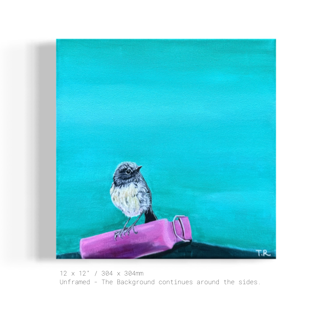 South Island Robin - Original Oil Painting by New Zealand Artist Tara Rountree
