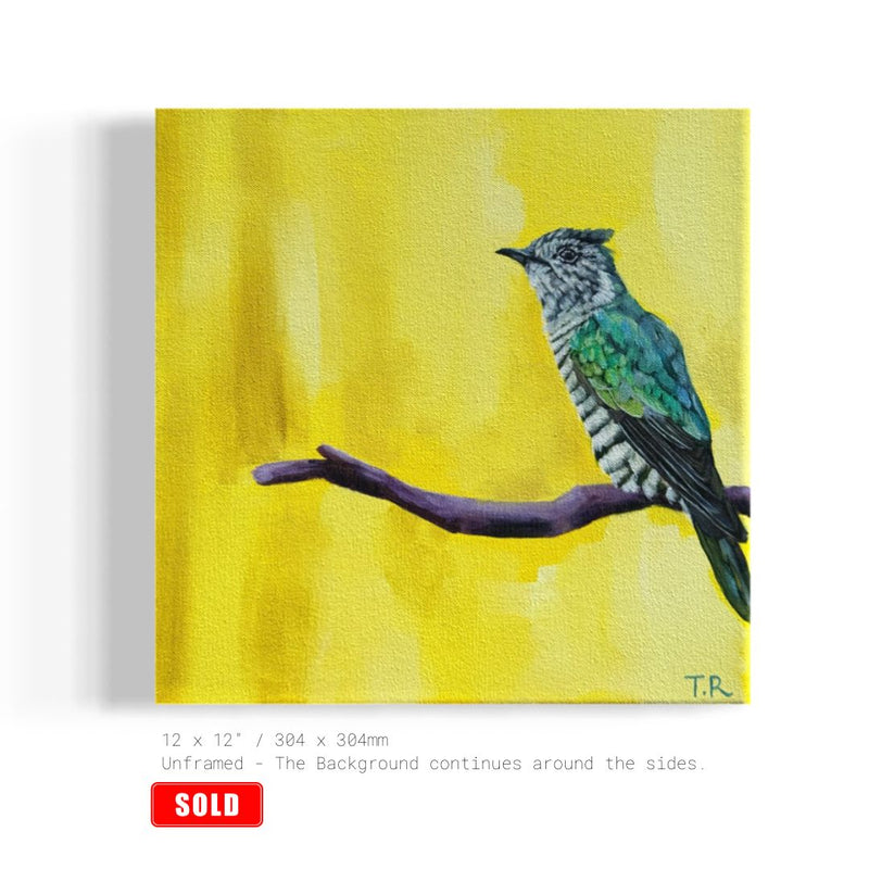 Shining Cuckoo - Original Oil Painting by New Zealand Artist Tara Rountree