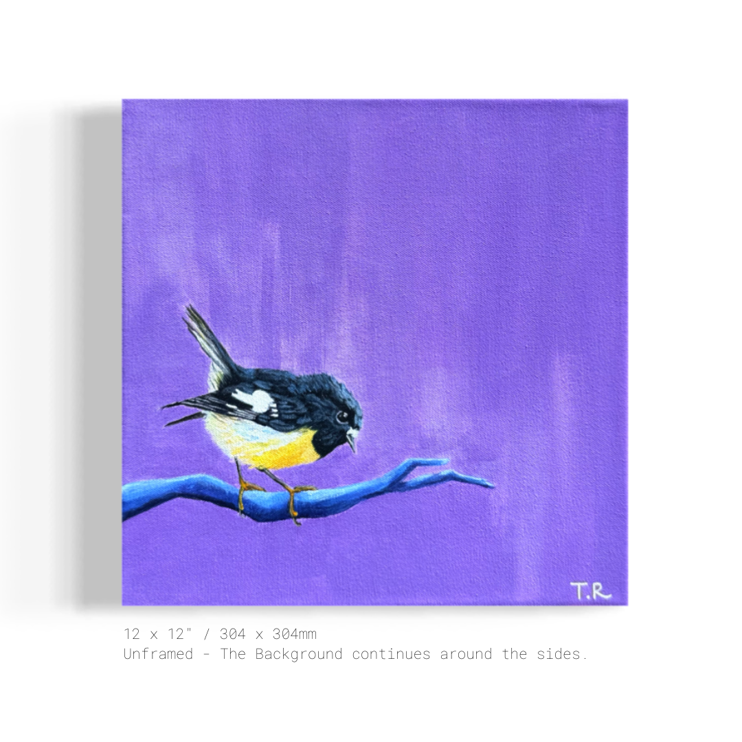 Tomtit - Original Oil Painting by New Zealand Artist Tara Rountree