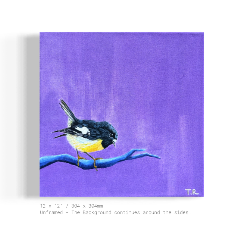 Tomtit - Original Oil Painting by New Zealand Artist Tara Rountree