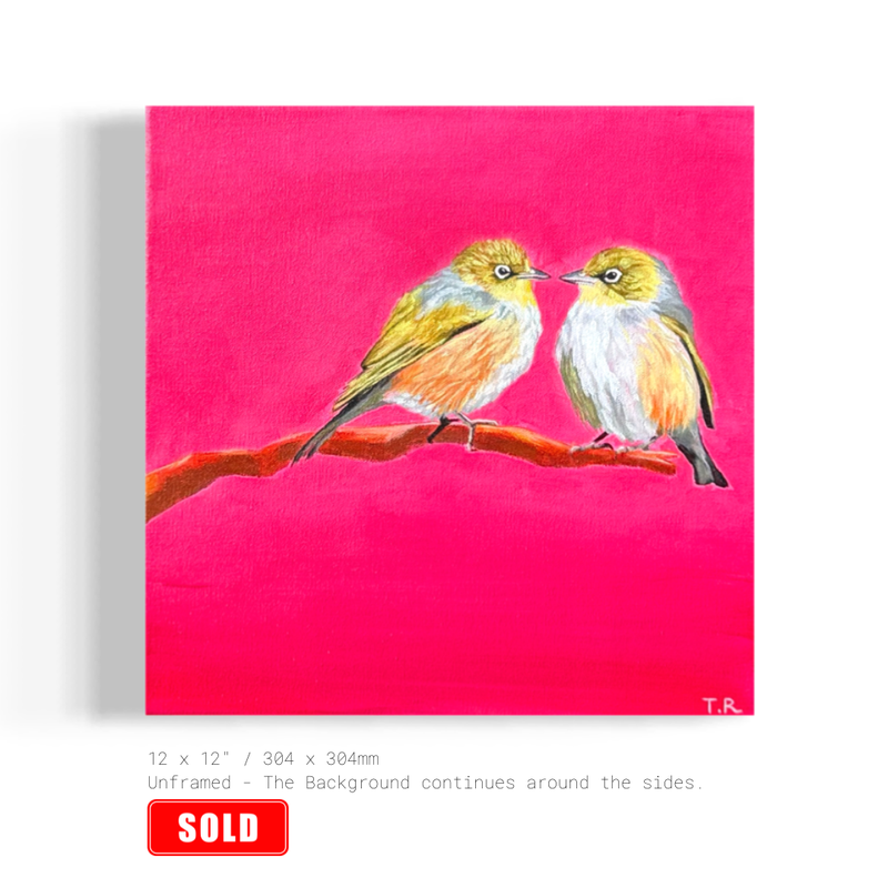 Waxeye/Silvereye - Original Oil Painting by New Zealand Artist Tara Rountree