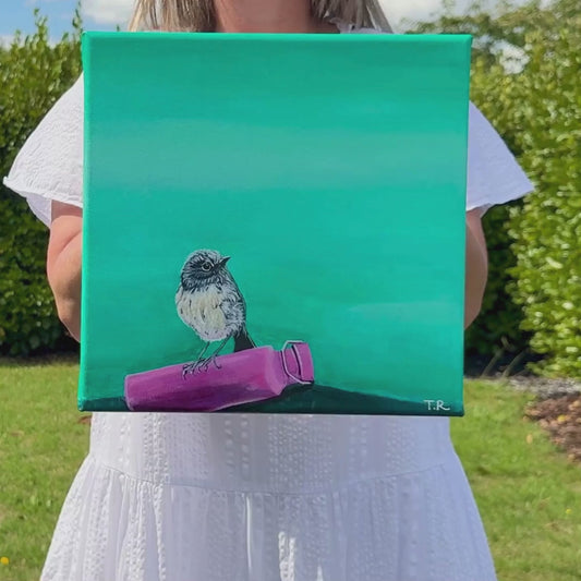 South Island Robin - Original Oil Painting by New Zealand Artist Tara Rountree