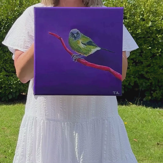 Bellbird - Original Oil Painting by New Zealand Artist Tara Rountree